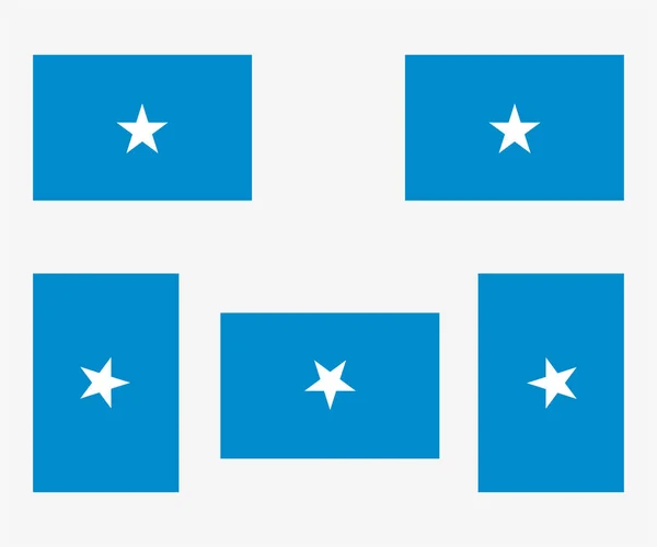 Illustrerad Landsflagga Reflekterad Och Roterad Somalia — Stock vektor