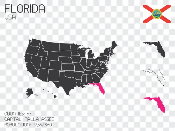 Estados Unidos América Ilustración Con Estado Seleccionado Florida — Vector de stock