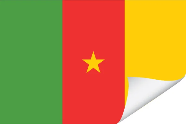Kamerun Országának Illusztrált Lobogója — Stock Vector