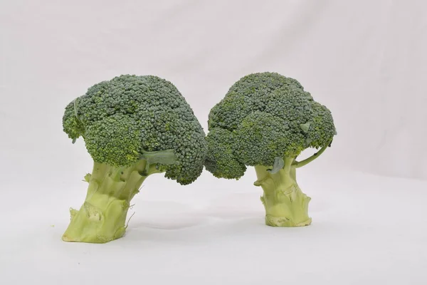 Fresh Broccoli White Background — Stock Photo, Image