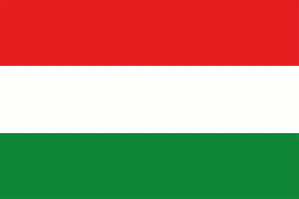 Vlajka Maďarska — Stockový vektor