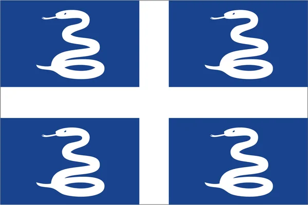 Bandeira de Martinique — Vetor de Stock