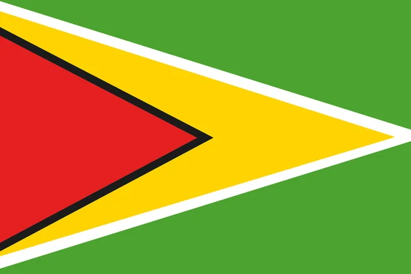 De vlag van guyana — Stockvector