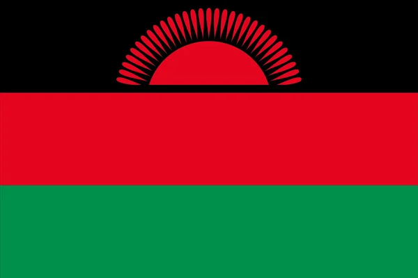 The flag of Malawi — Stock Vector