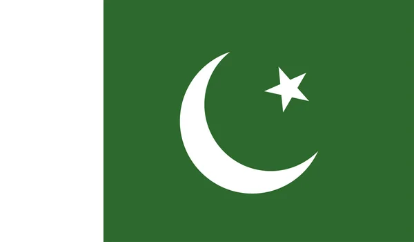 Pakistans flag – Stock-vektor