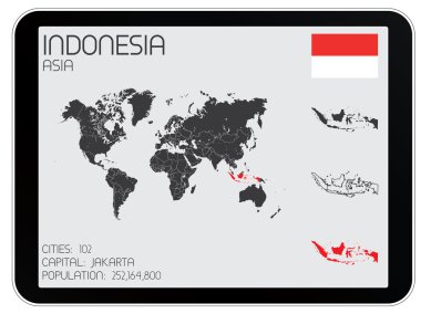 Infographic öğeleri kümesi Endonezya ülke için