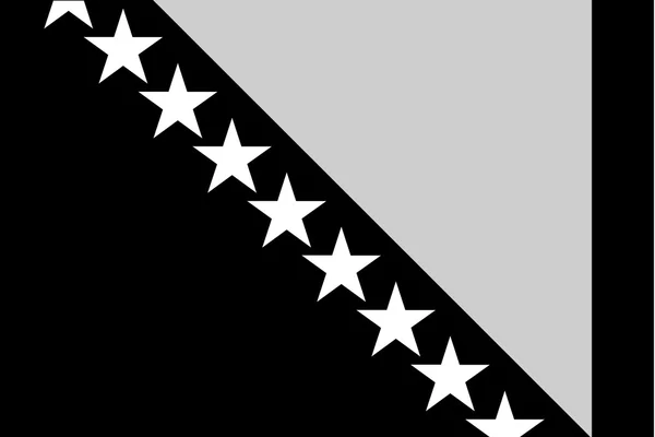 Illustrated grayscale flag of the country of Bosnia — Stock Photo, Image