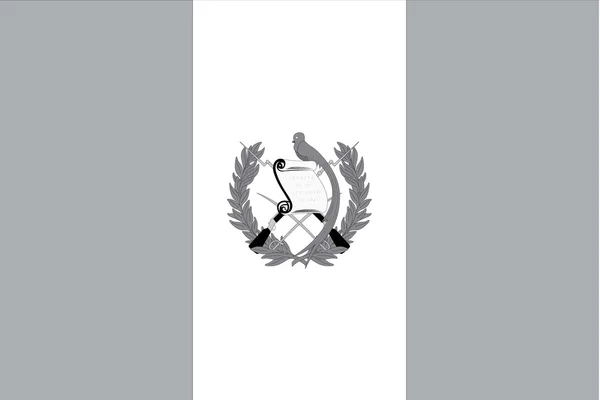 Geïllustreerd grijswaarden vlag van het land van Guatemala — Stockfoto