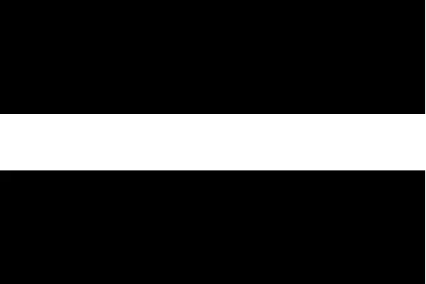 Иллюстрированный флаг Латвии в оттенках серого — стоковое фото