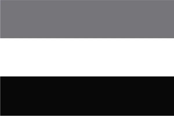 Geïllustreerd grijswaarden vlag van het land van Nederland — Stockfoto