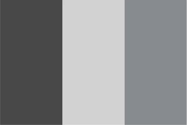 Drapeau illustré en niveaux de gris du pays du Tchad — Image vectorielle