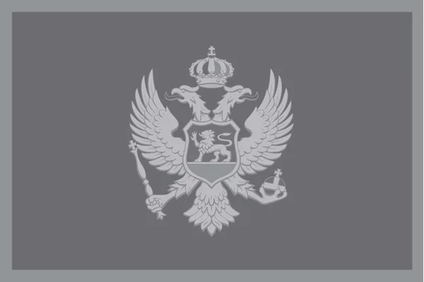 Abgebildete Graustufen-Flagge des Landes Montenegro — Stockvektor