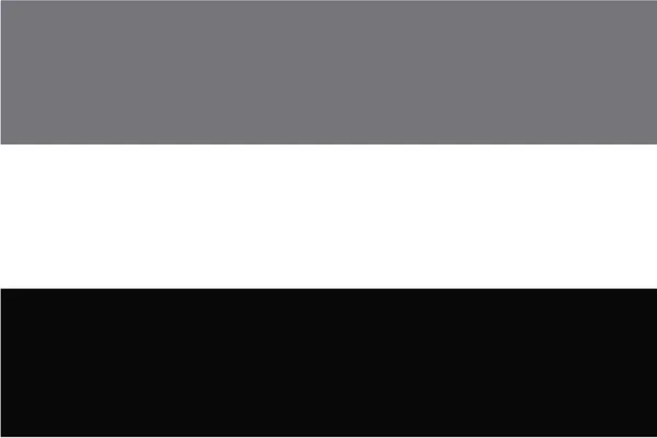 Drapeau illustré en niveaux de gris du pays des Pays-Bas — Image vectorielle