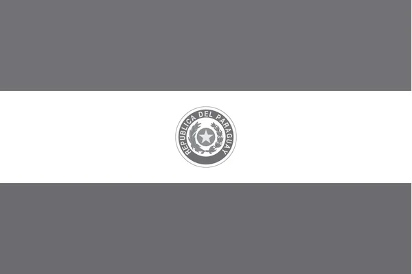 Drapeau illustré en niveaux de gris du pays du Paraguay — Image vectorielle