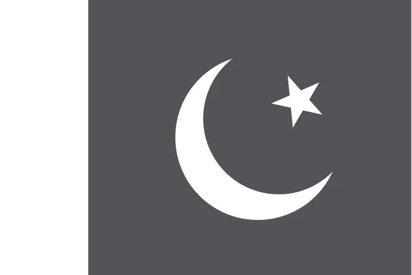 Drapeau illustré en niveaux de gris du pays du Pakistan — Image vectorielle