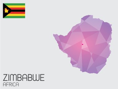 Infographic öğeleri kümesi Zimbabve ülke için