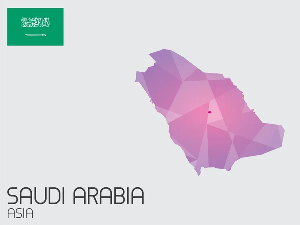 Set of Infographic Elements for the Country of Saudi Arabia — Stok Foto