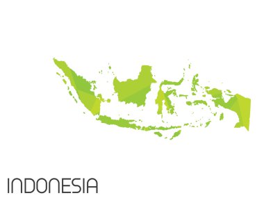 Infographic öğeleri kümesi Endonezya ülke için