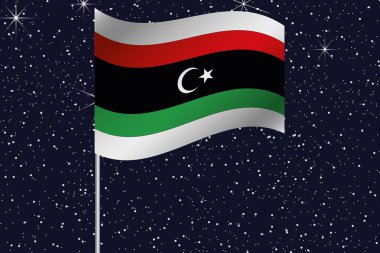 3D bayrak illüstrasyon ülkenin gece gökyüzünde sallayarak  