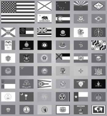 Gri tonlamalı Amerika Birleşik Devletleri'nde bayraklarını gösteren resim