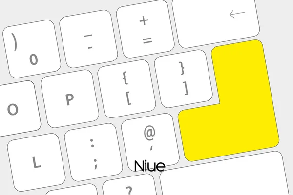 键盘与正在纽埃国旗的输入按钮 — 图库矢量图片