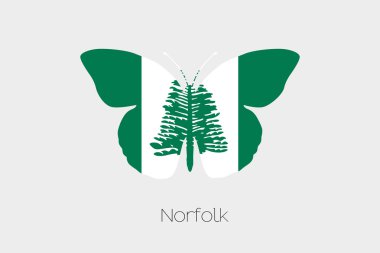 Norfolk bayrağı ile kelebek