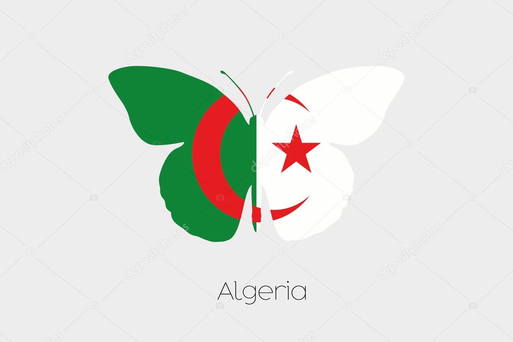 Butterfly with the flag of Algeria