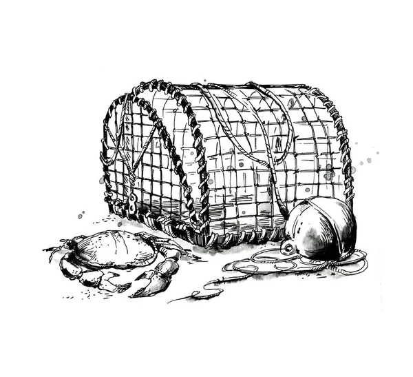 Homard Trab Crabe Dessiné Main Illustration — Photo