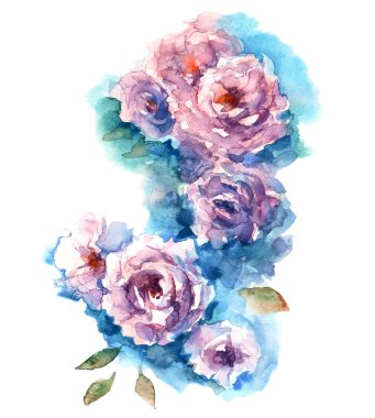 Gül sulu boya kroki. Vektör çizim.