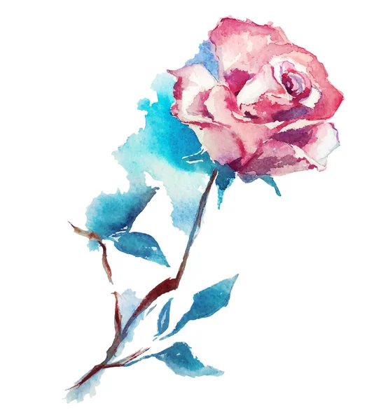 Rózsa akvarell vázlat. Vektoros illusztráció. — Stock Vector