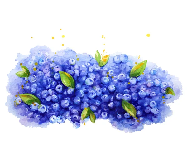 Blueberry background. Watercolor. Hand painted. — Stock Vector