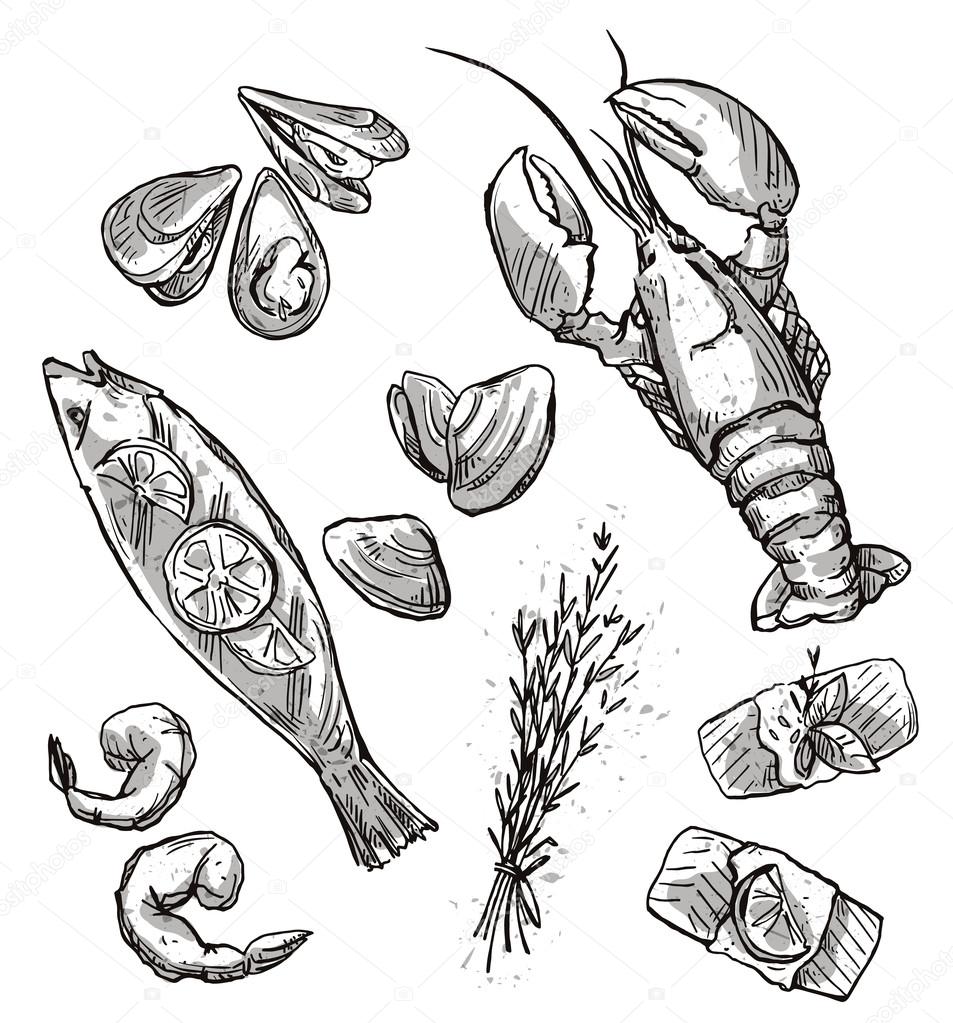 Seafood selection. Vector illustration, black and white