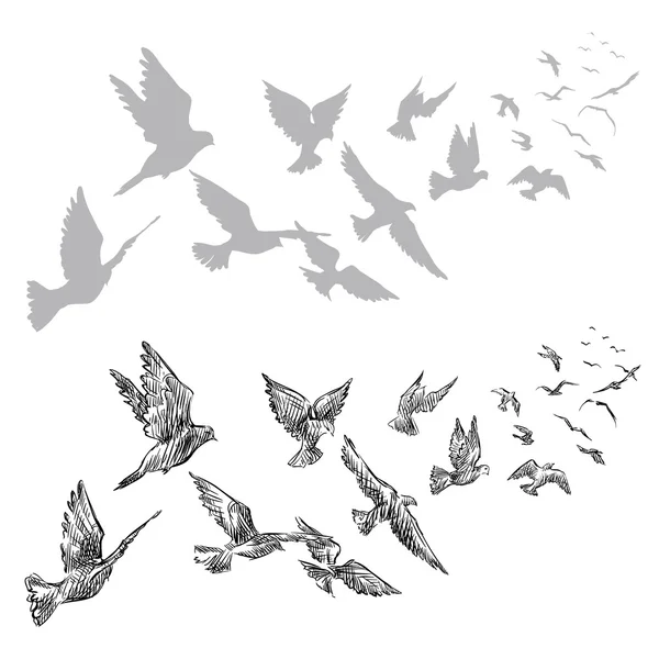 Palomas voladoras, dibujadas a mano — Vector de stock