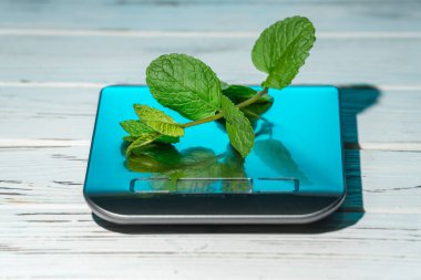 Mutfak terazisinde nane yaprakları var.