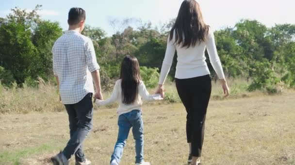 这个年轻的家庭正在公园里牵着手散步 — 图库视频影像