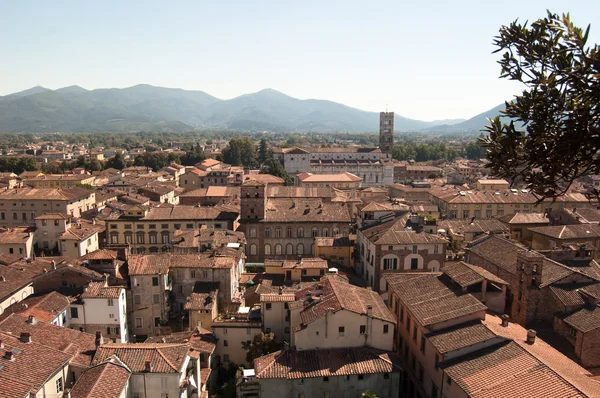 Lucca, Italia — Foto Stock