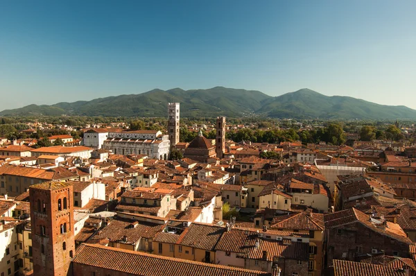 Lucca, italien — Stockfoto
