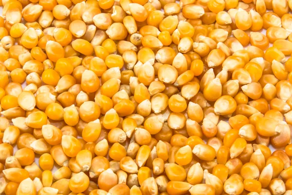 mısır