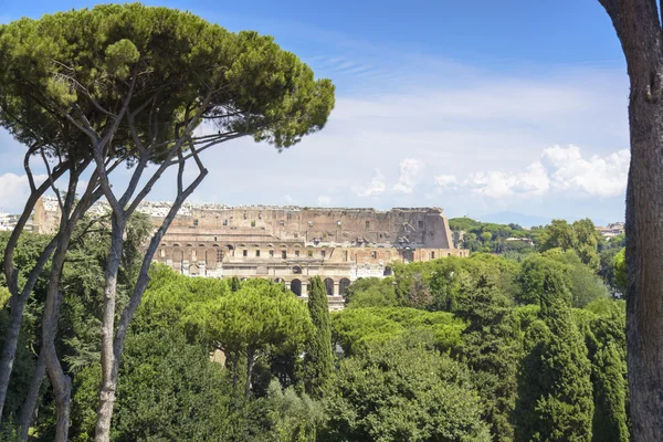 Colosseum - Rom, Italien — Stockfoto