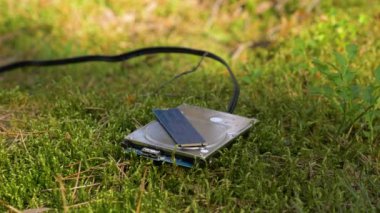 Yeni kripto para birimi CHIA. Yeşil tarım. Ormandaki Hdd 'i yakın plan çek..