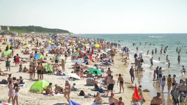 Palanga, Litouwen - Kustlijn - Juni 2021 - Mensen vallen het strand binnen na de winter en quarantaine. Blank uitziende mensen brengen hun tijd door in de zee tijdens zonnige dagen. Overbevolkt strand. — Stockvideo