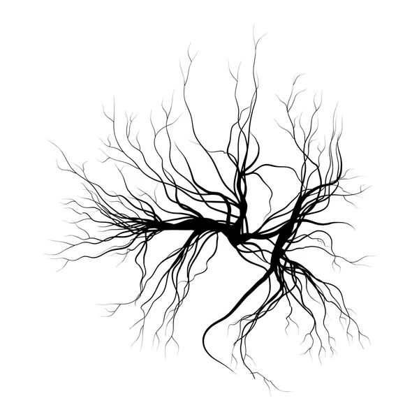 Veines humaines, vaisseaux sanguins rouges. Illustration vectorielle isolée sur fond blanc — Image vectorielle