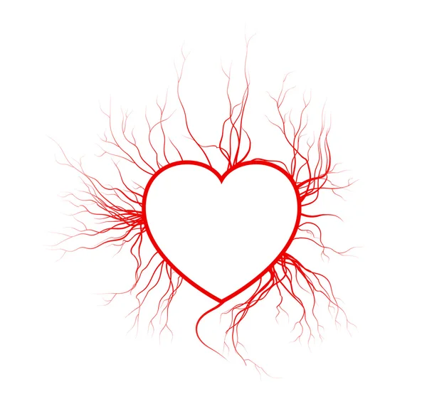 Human veins with heart, red love blood vessels valentine design. Vector illustration isolated on white background — Stock Vector