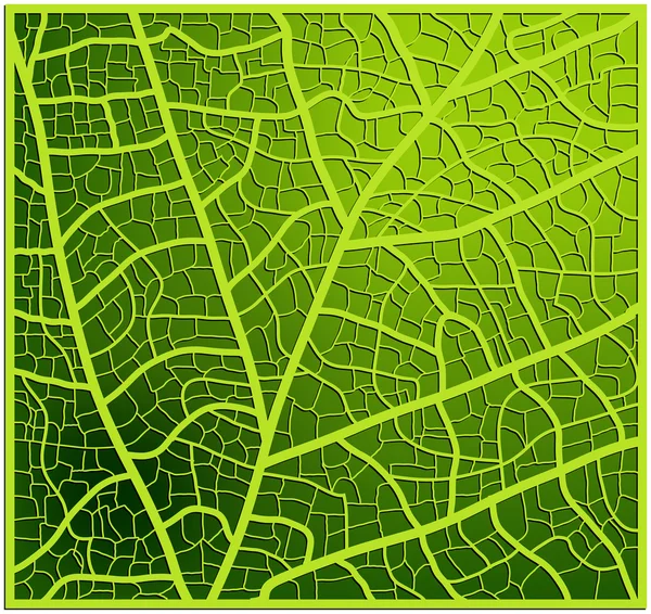 Texture des feuilles, veines vectorielles conception de fond. Belle illustration prête à l'emploi — Image vectorielle