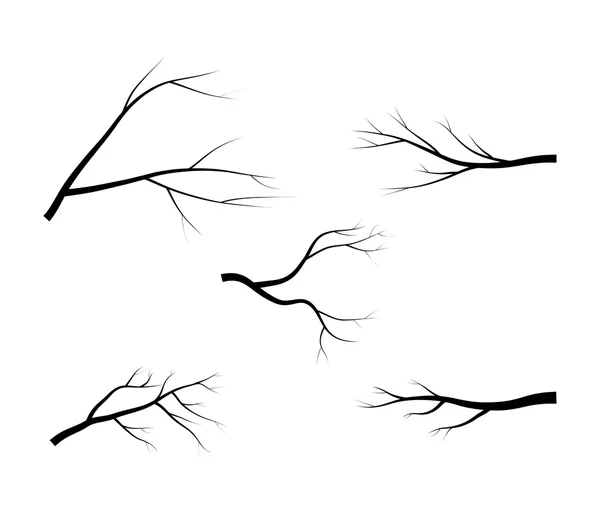 Rama desnuda árbol silueta vector símbolo icono de diseño. Hermosa ilustración aislada sobre fondo blanco — Vector de stock