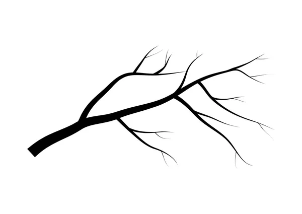 Desenho de ícone de símbolo de vetor de silhueta de árvore de ramo nu. Bela ilustração isolada no fundo branco — Vetor de Stock
