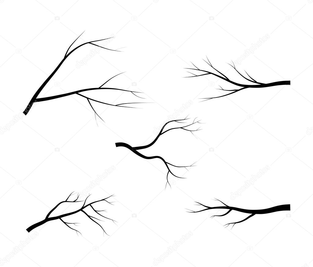 Disegno di icona del simbolo del vettore sagoma di ramo spoglio albero Bella illustrazione isolato