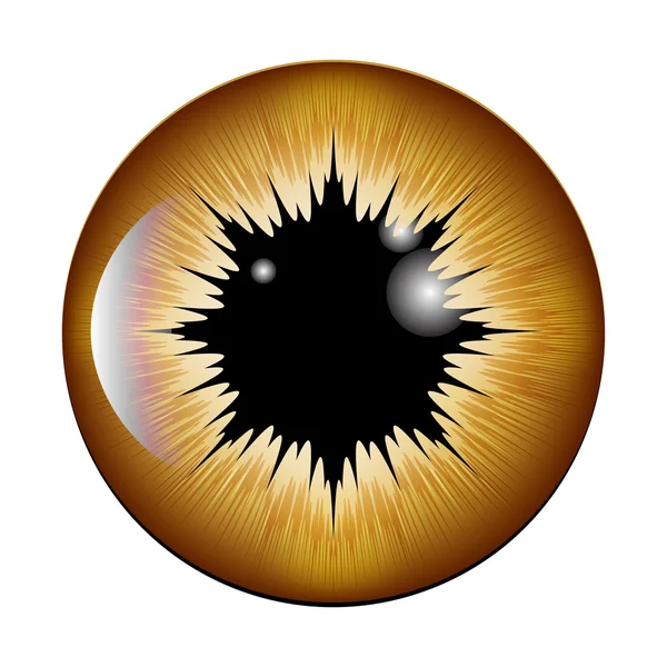 Olho, pupila, íris, desenho de ícone de símbolo vetorial. Bela ilustração — Vetor de Stock
