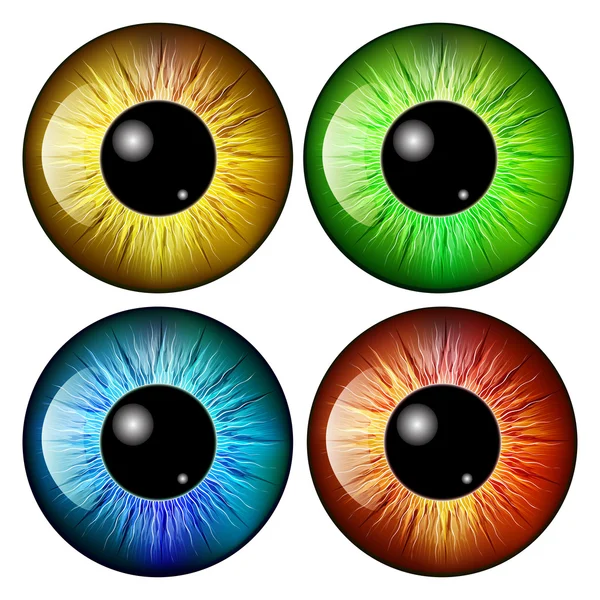 눈, 눈동자, 아이리스, 벡터 기호 아이콘 디자인. 아름 다운 그림 — 스톡 벡터