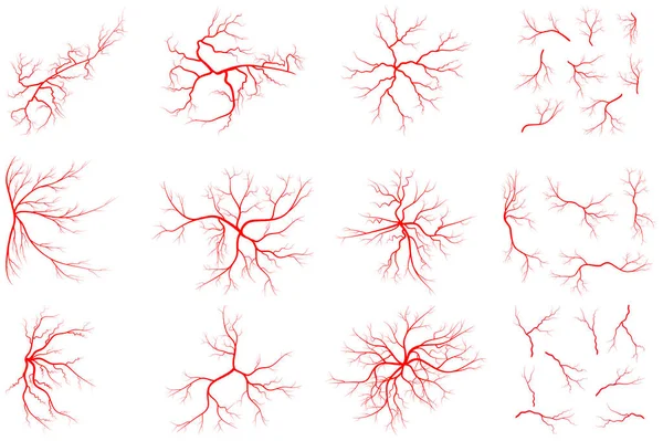 Ven Set Illustration Isolerad Vit Bakgrund Insamling Mänskliga Blodsystem Grafisk — Stock vektor